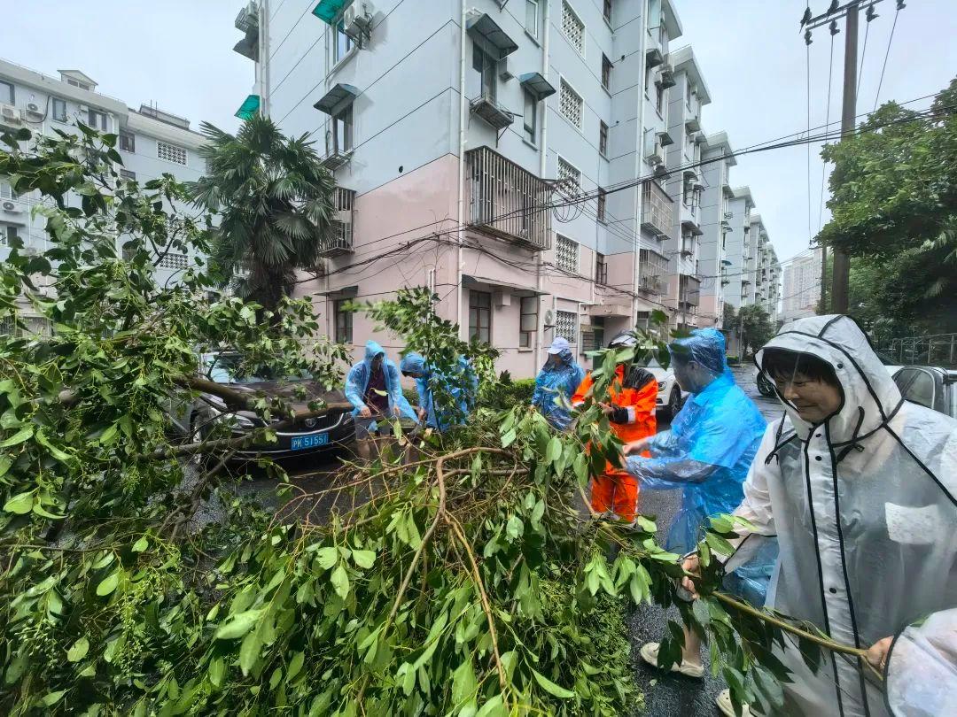 _上海台风杨浦大桥_受台风影响上海